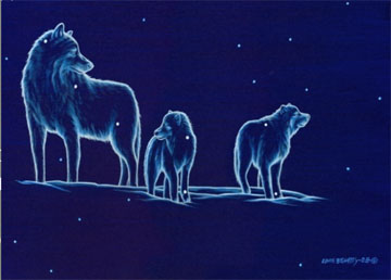 Atima Atchakosuk - the dog stars with Polaris, Mihkun Atchakos, the wolf star